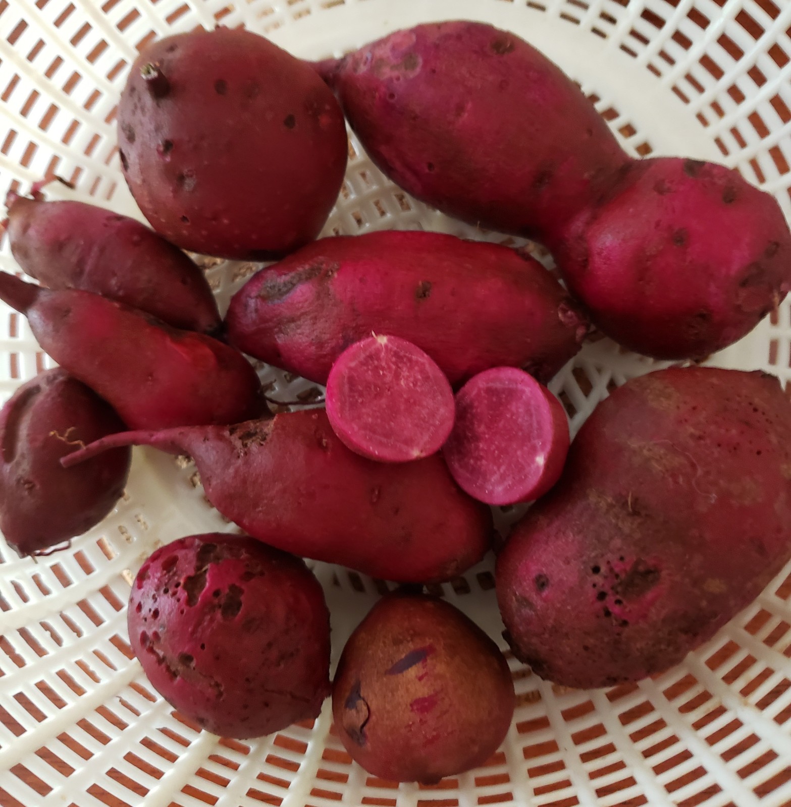 Figure 5: One tuber has been cut in half to reveal the natural purple colour of its flesh.