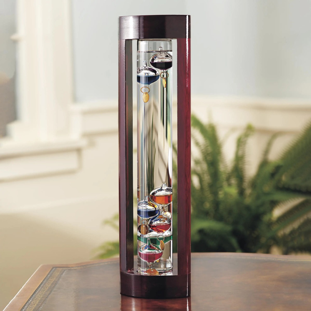 Figure 1: Galileo’s Thermometer. The coloured balls are weighted differently with tags that indicate temperature. They rise and fall as the ambient temperature changes. This device, with changing bulb positions, is the ideal metaphor for my idea of instantaneous caste, as spelled out in this blog.