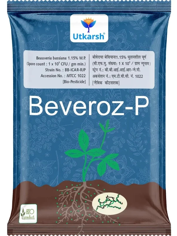 Figure 3: The Utkarsh Beverox-P product containing Beauveria bassiana that I was recommended to purchase by the AI.